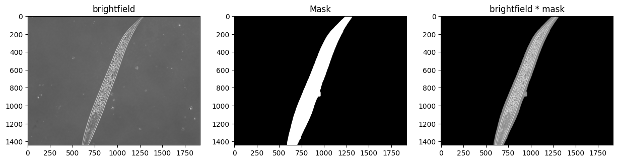 Masking