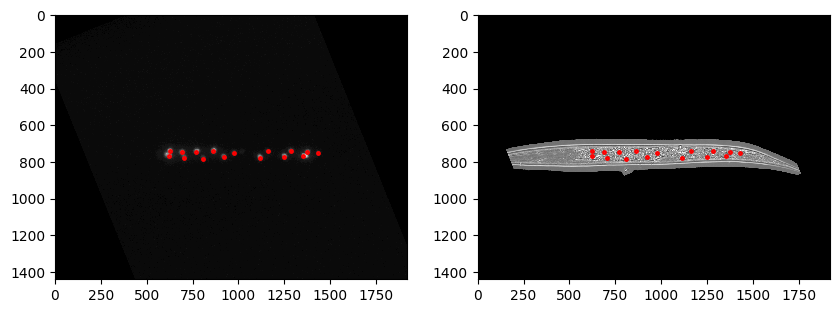 Segmentation